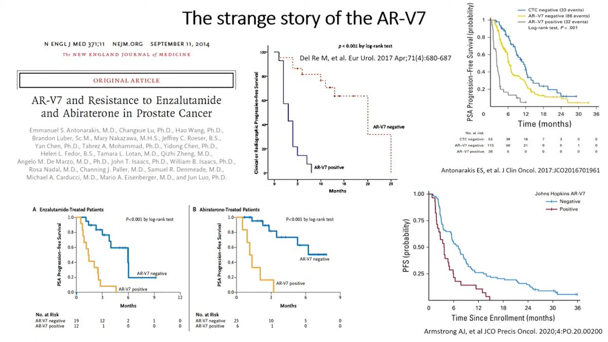 arv7.jpg