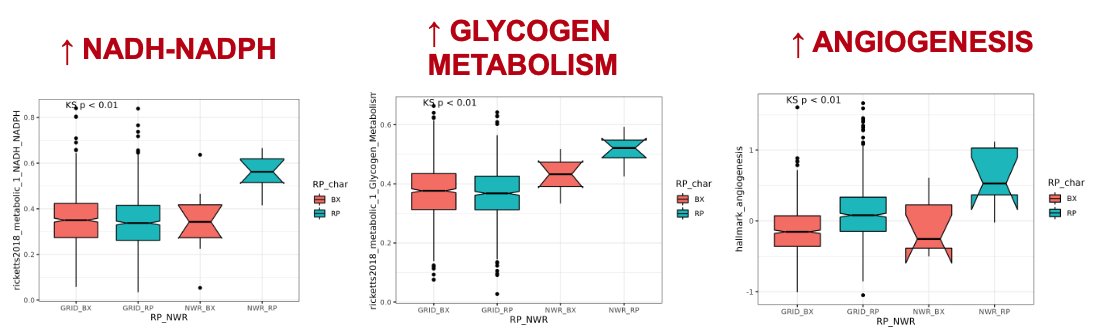 metabolic.jpg