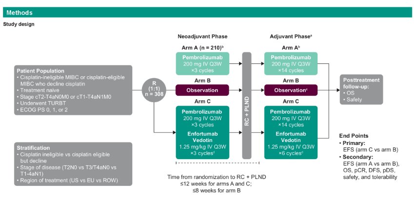 KETNOTE-905/EV-303 trial ASCO GU.jpg