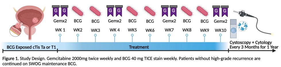 ASCO GU 23 gemcitabine.jpg