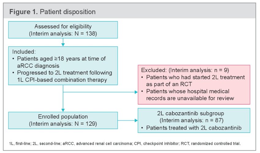 renal cell carcinoma.jpg