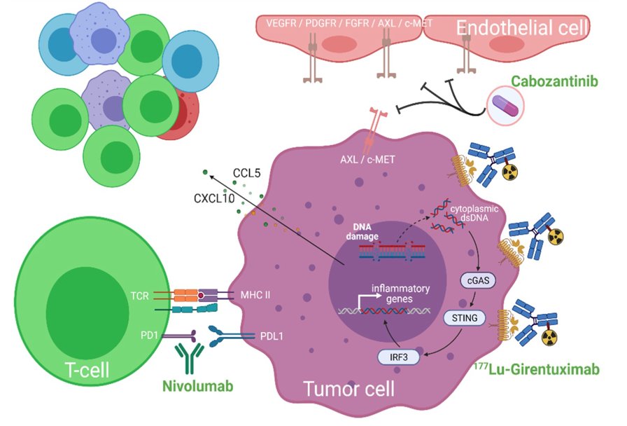 Tumor Illustration.jpg