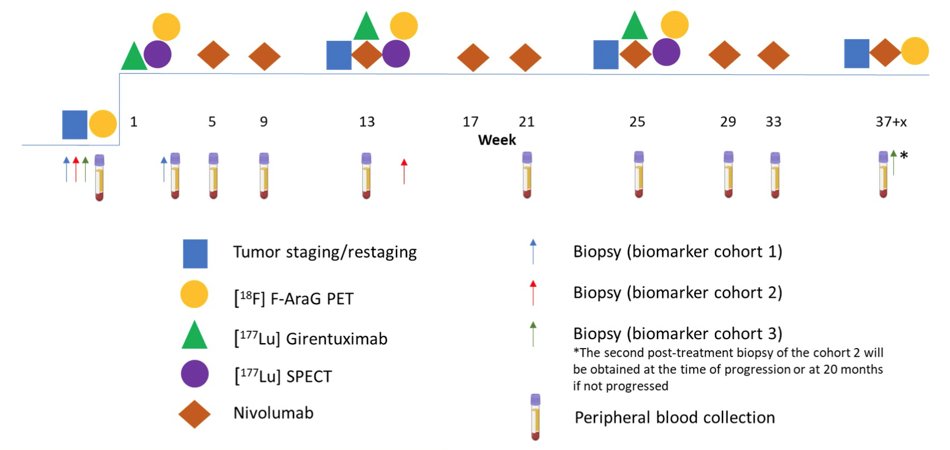 biopsy diagram.jpg