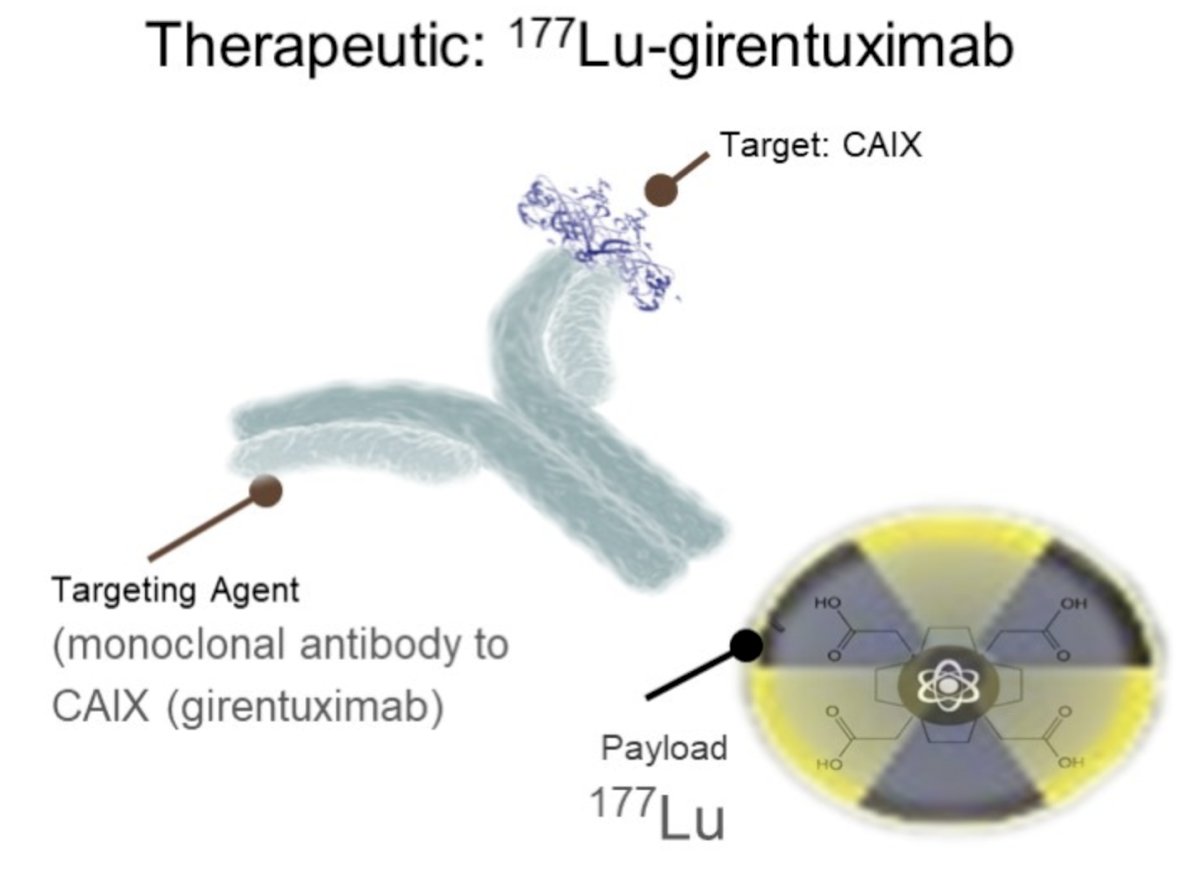 177Lugirentuximab.jpg