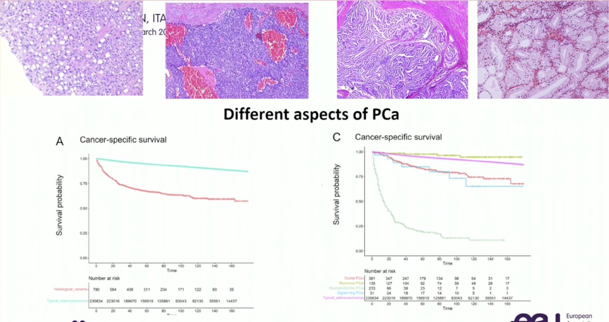 aspects of pca.jpg