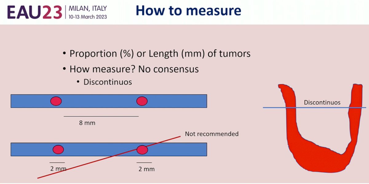 how to measure.jpg