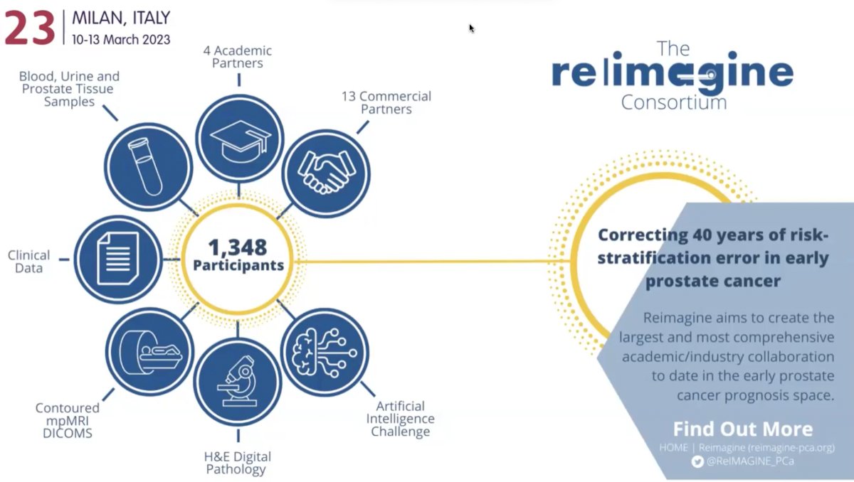 ReIMAGINE Prostate Cancer Risk.jpg