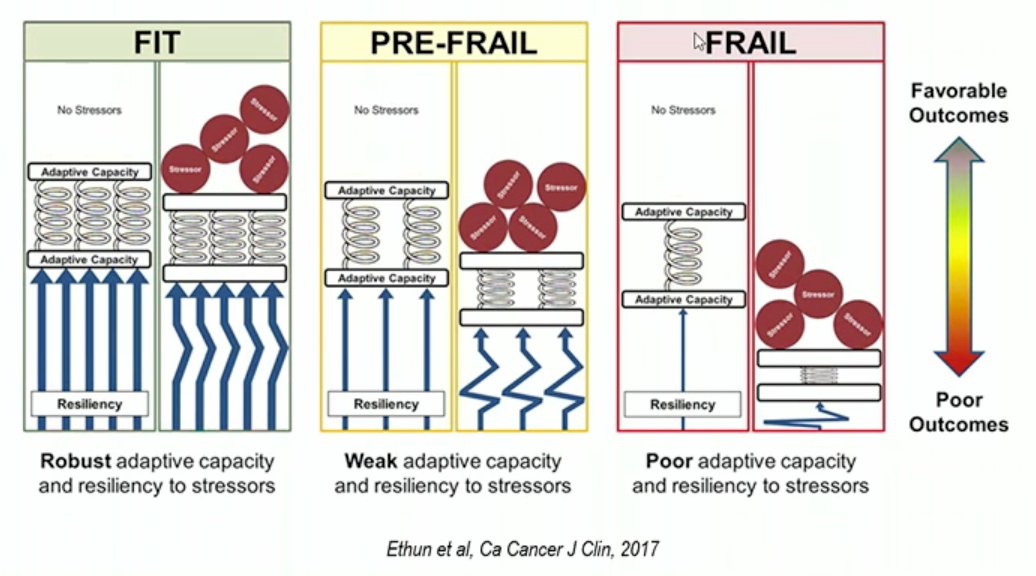 diagram.jpg