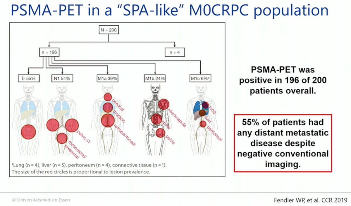 EAU 23 Prostate Cancer Working Group.jpg