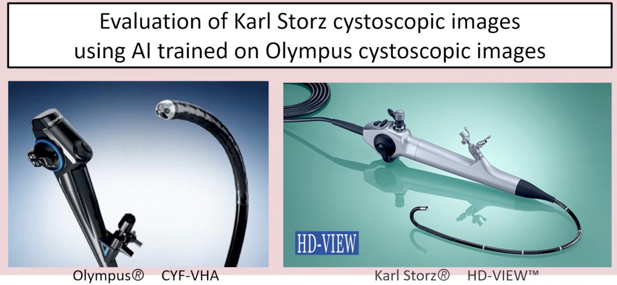 cystopic tools.jpg