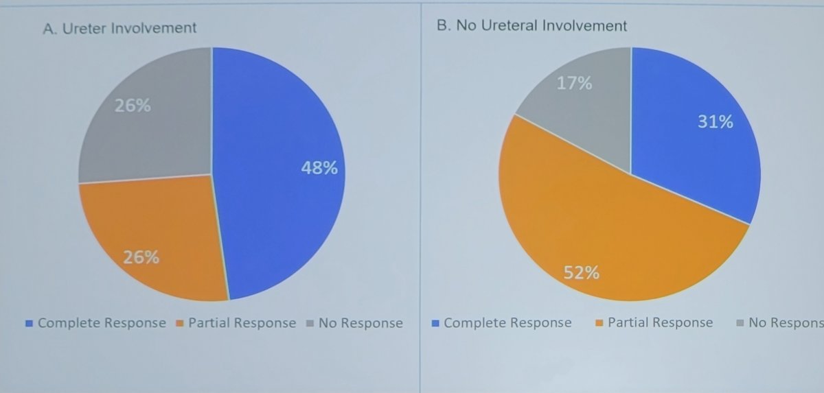 pie graphs.jpg