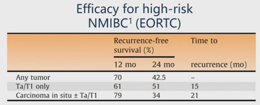 efficacy for high risk nmibc.jpg