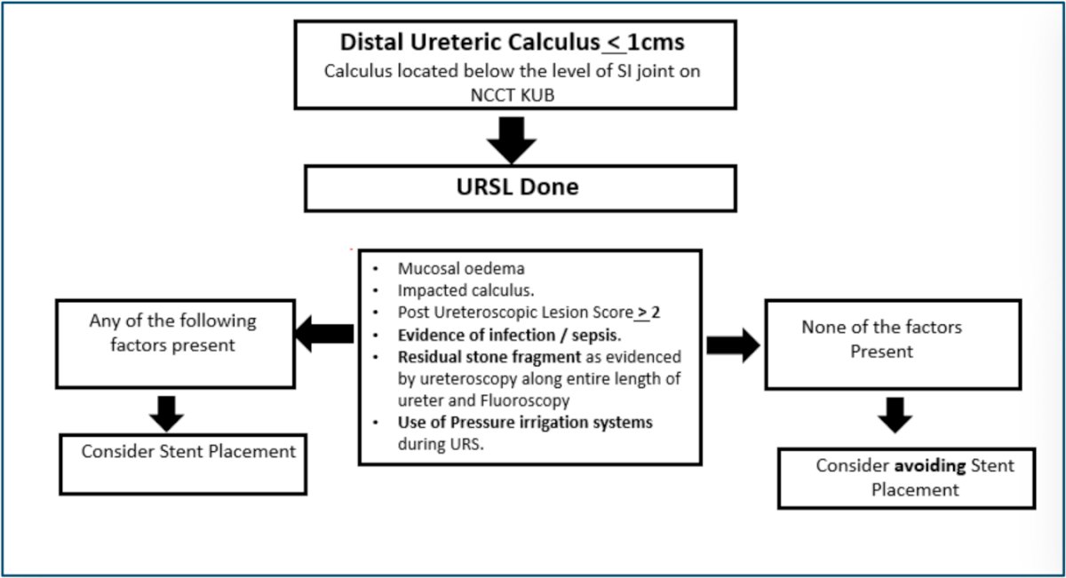 AUA ureteroscopy