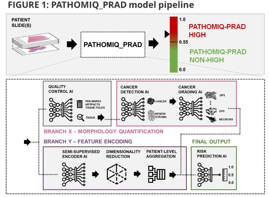 PATHOMIQ-PRAD.jpg