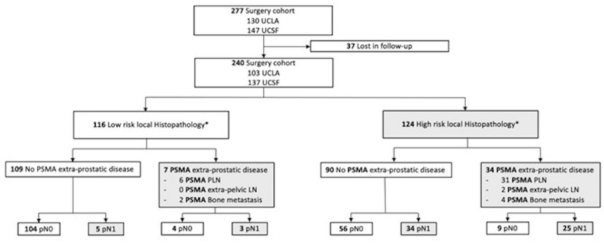 68Ga-PSMA-11 PET flow