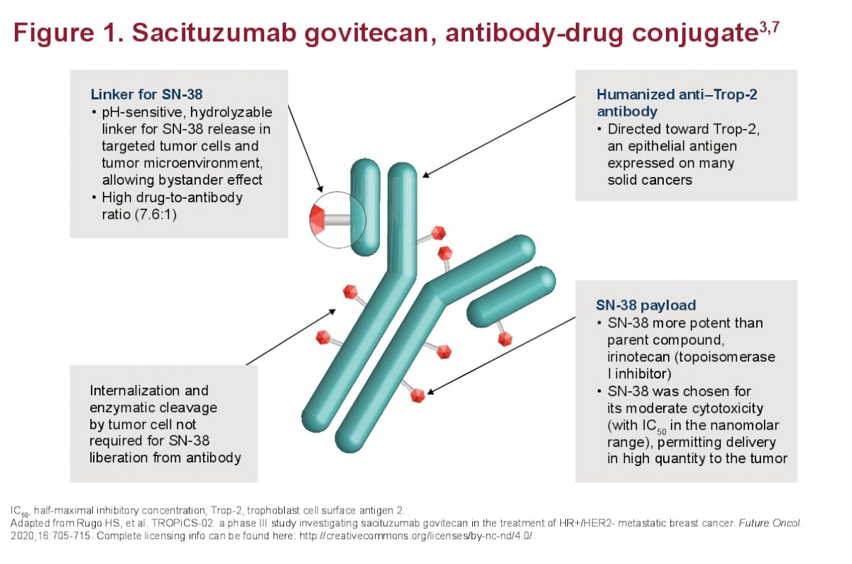 sacituzumab govitecan