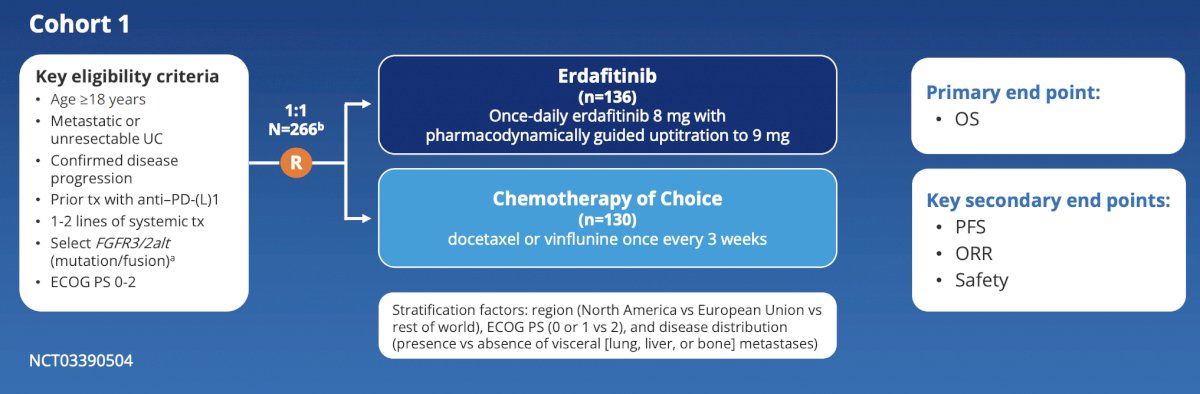 Erdafitinib cohorts