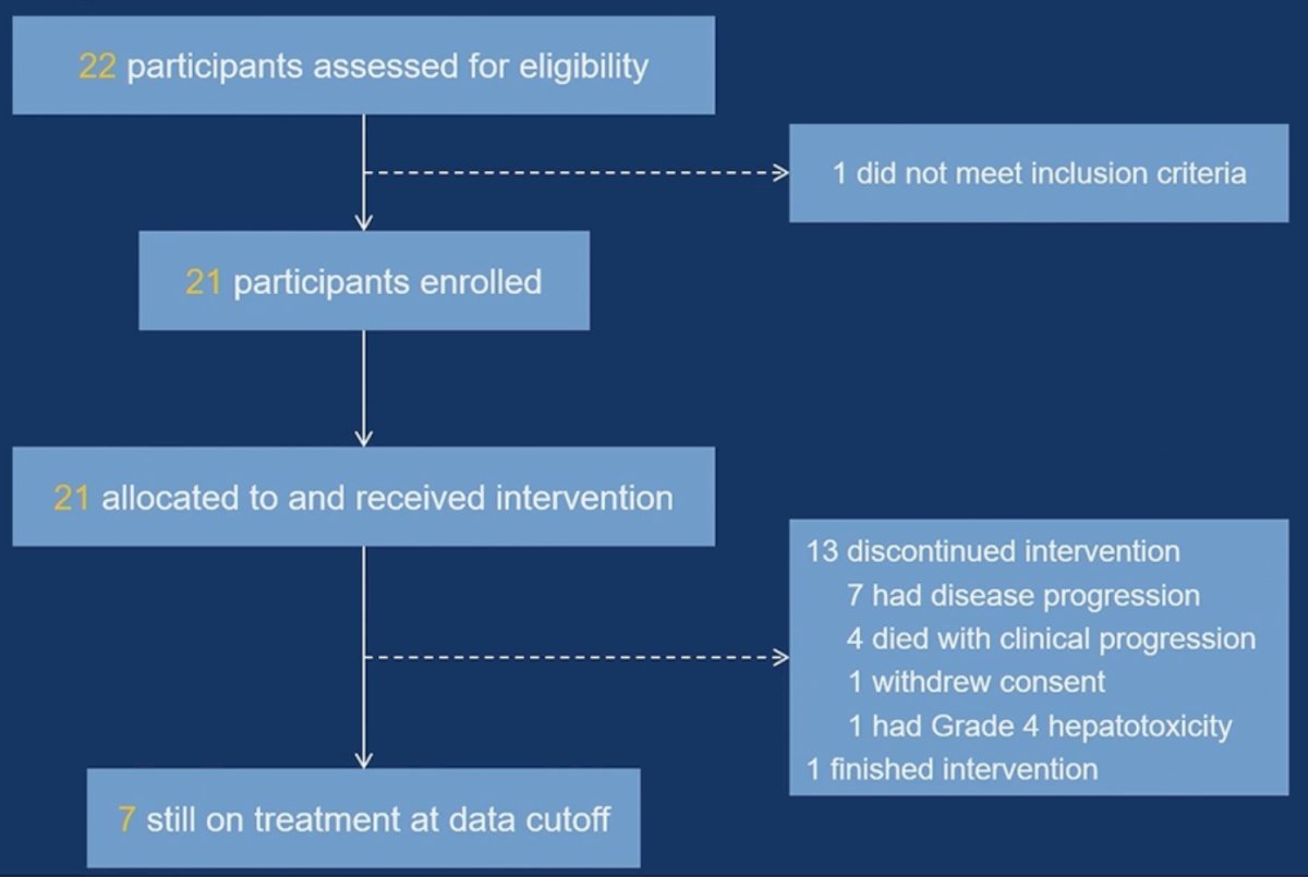 camrelizumab population results