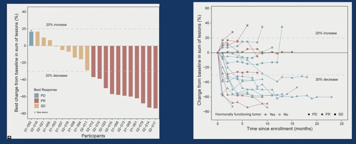  the objective response rate was 52% in the patient cohort (all partial responses). Stable disease was observed in an additional 43%. There was one patient with progressive disease as best response