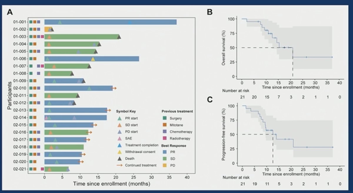 The median progression-free survival was 12.6 months, and the median overall survival was 20.9 months. The corresponding 1-year rates were 57.1% and 74.5%, respectively.