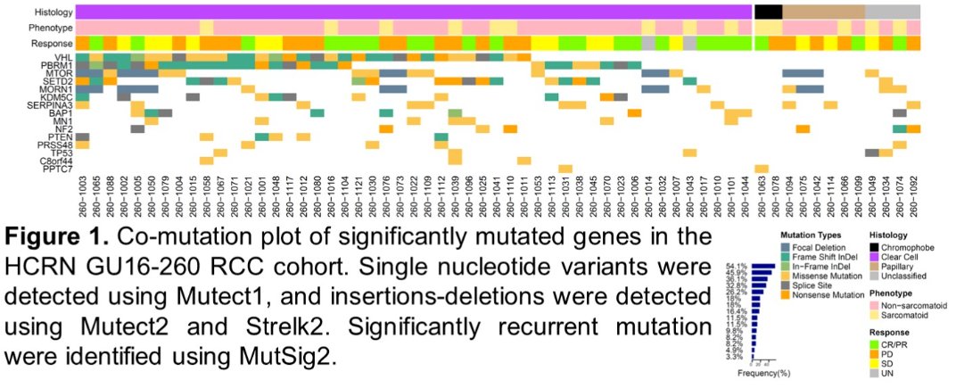 figure 1 mutation