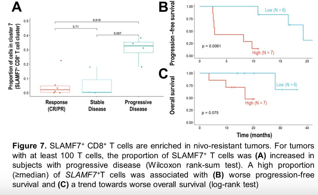 figure 7 info