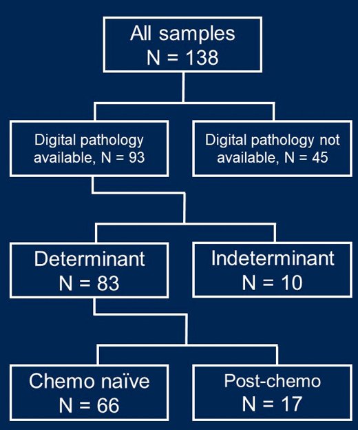 germ cell tumors.jpg