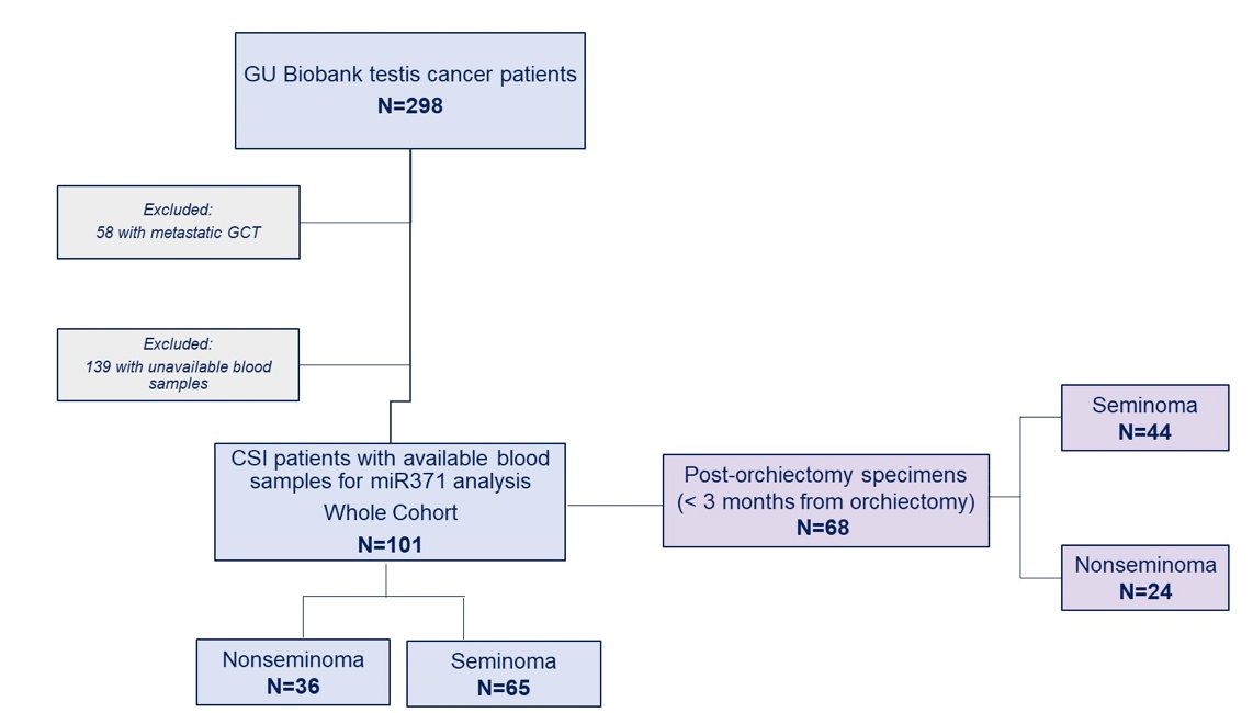 ASCO 2023 germ cell tumors.jpg