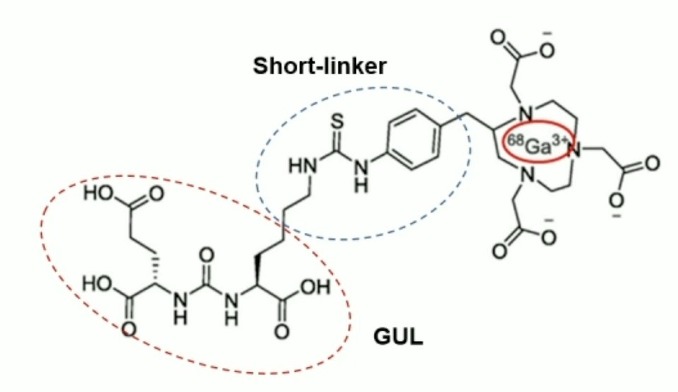 GUL short link diagram