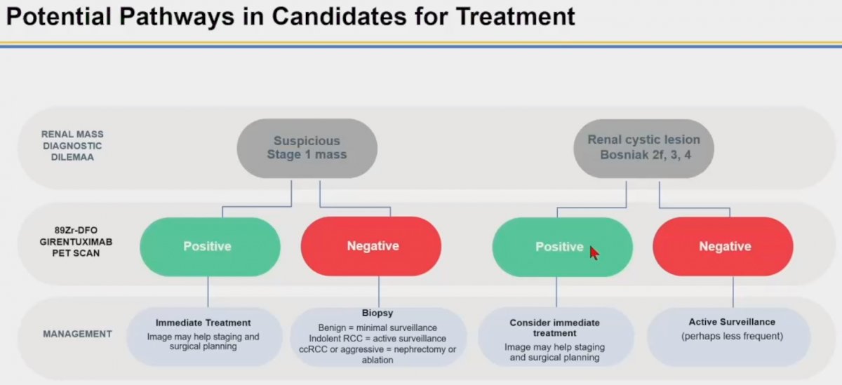 SNMMI 2023: Zirconium-Labelled Girentuximab (89Zr-TLX250-CDx) PET 