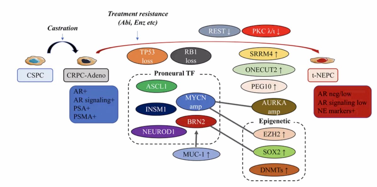 treatment resistance flow