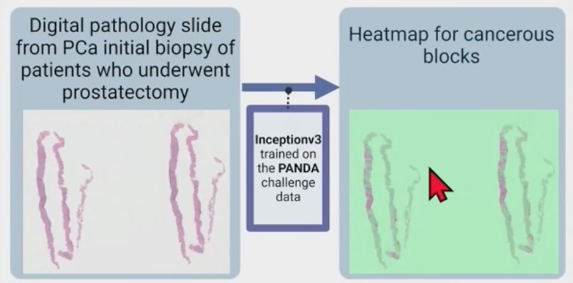 digital pathology flow