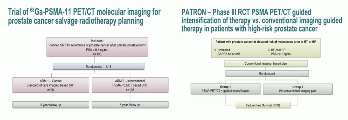 68Ga-PSMA-11 trial and Patron trial