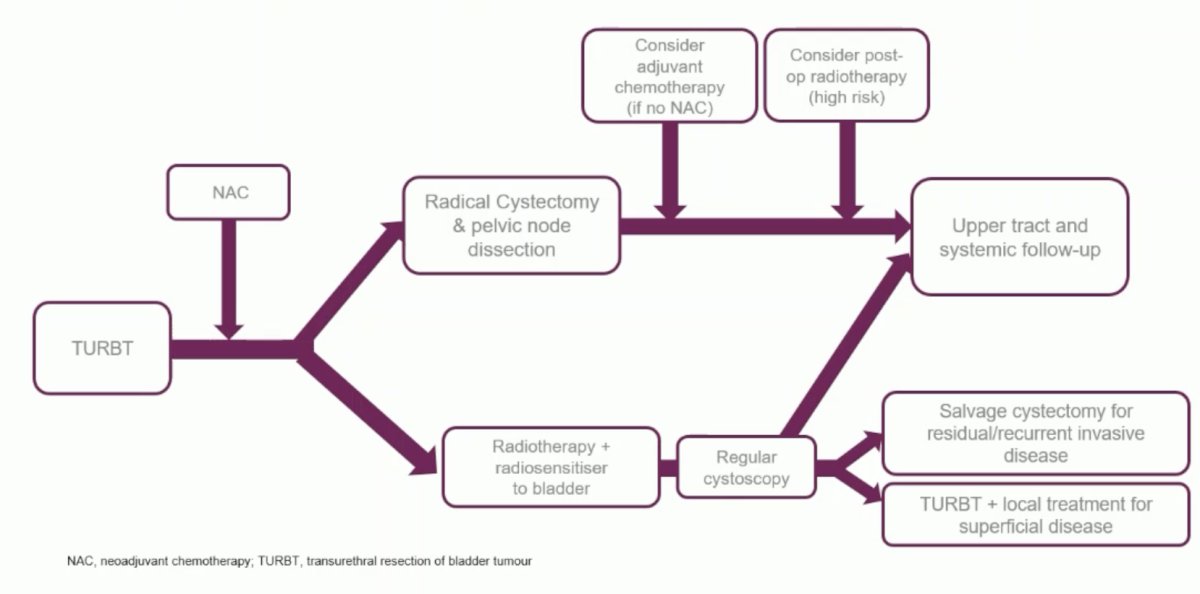 ESMO 2023 Huddart bladder preservation_0