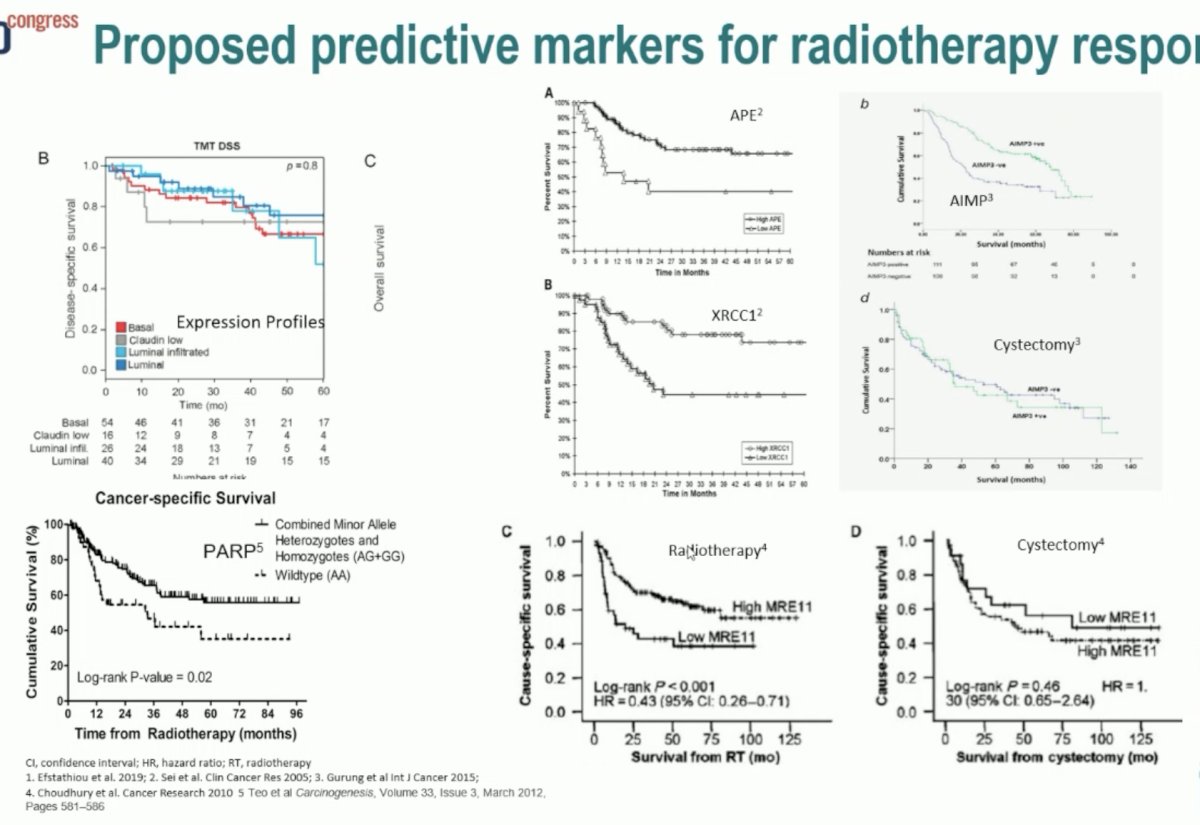 ESMO 2023 Huddart bladder preservation_14