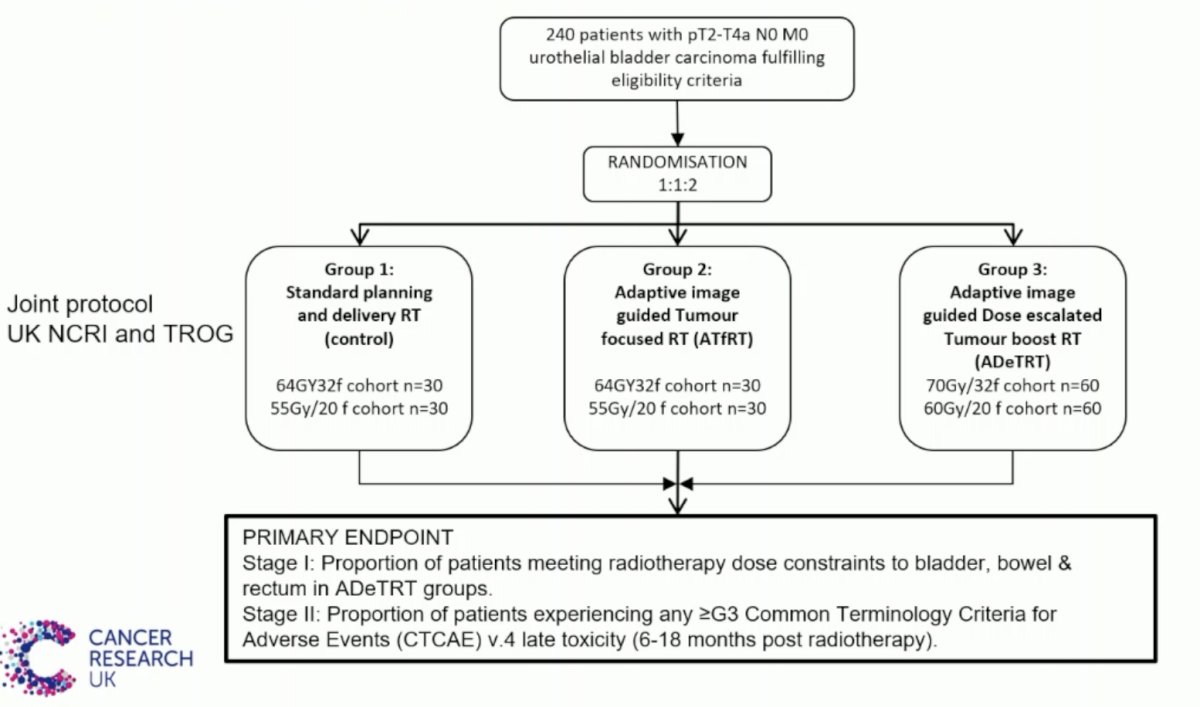 ESMO 2023 Huddart bladder preservation_7