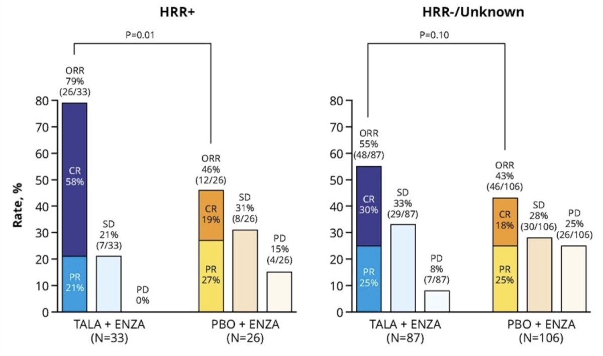 tala enza graph