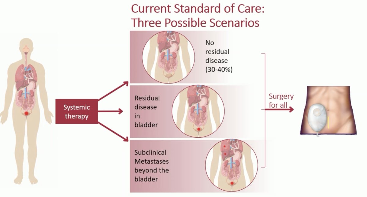 ESMO 2023 Plimack_systemic therapy in bladder preservation_1