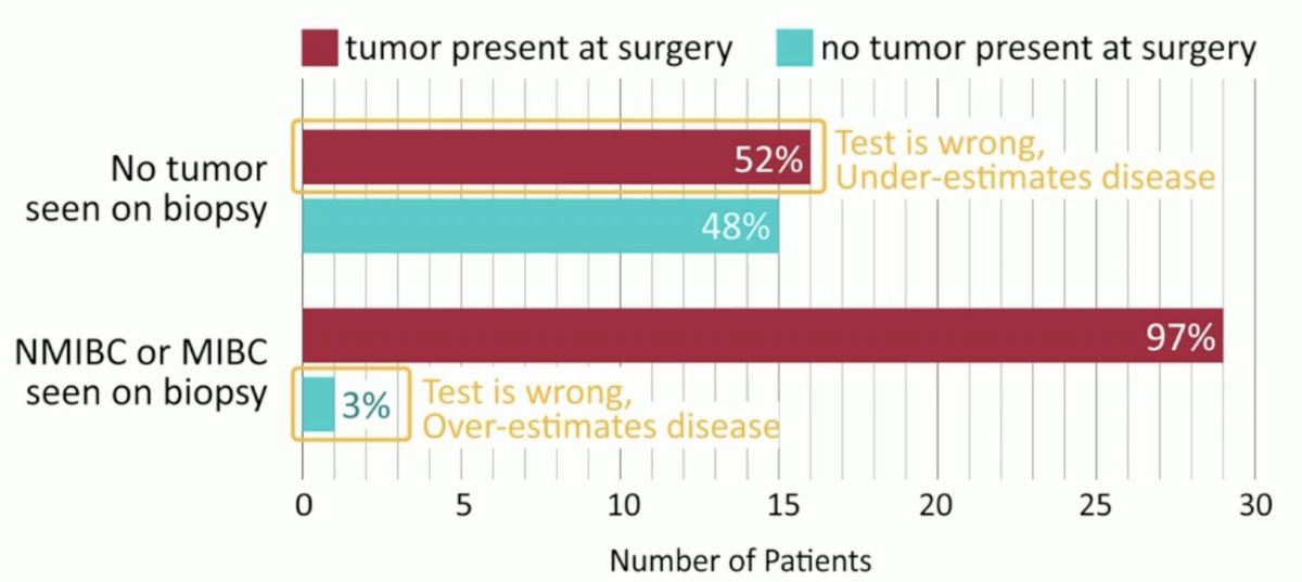 ESMO 2023 Plimack_systemic therapy in bladder preservation_15