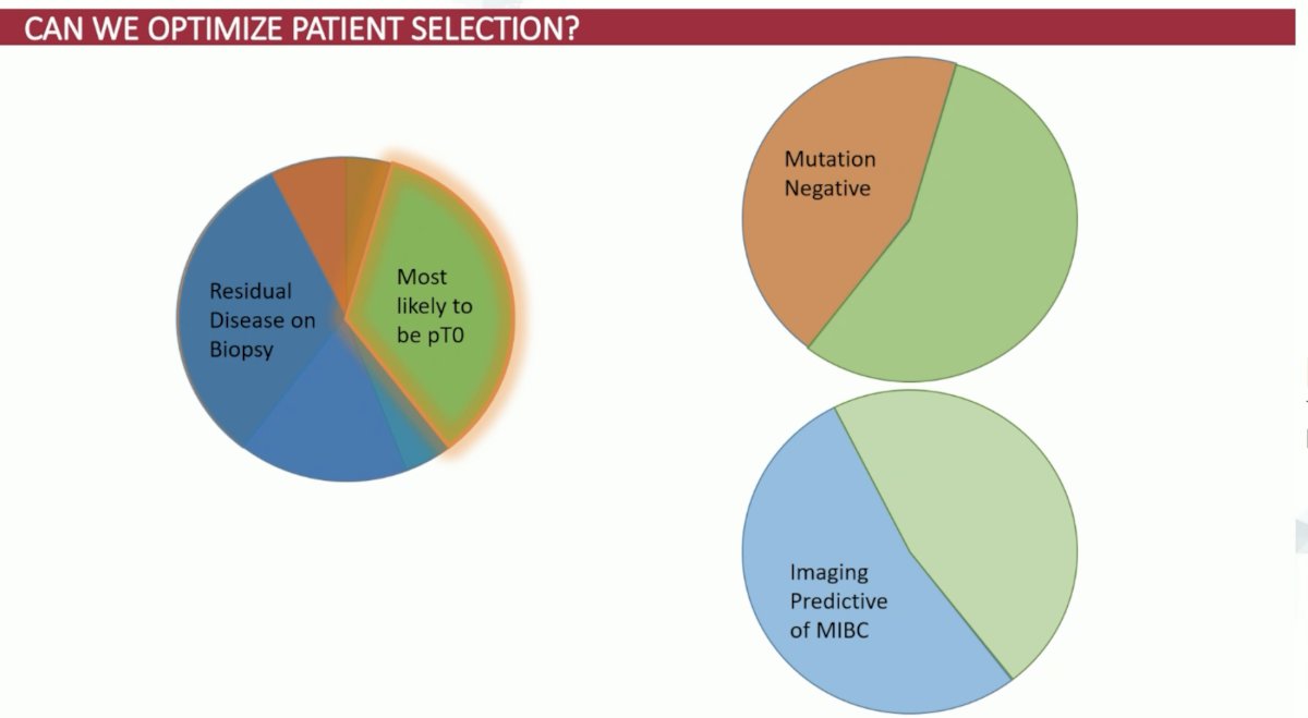 ESMO 2023 Plimack_systemic therapy in bladder preservation_17