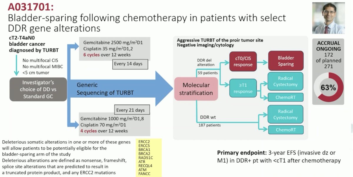 ESMO 2023 Plimack_systemic therapy in bladder preservation_18