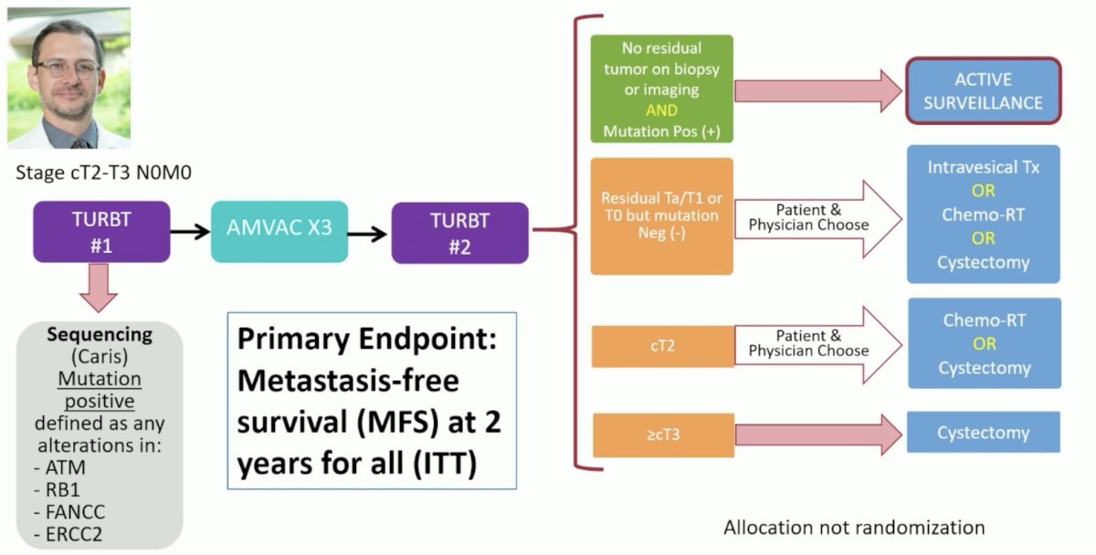 ESMO 2023 Plimack_systemic therapy in bladder preservation_4