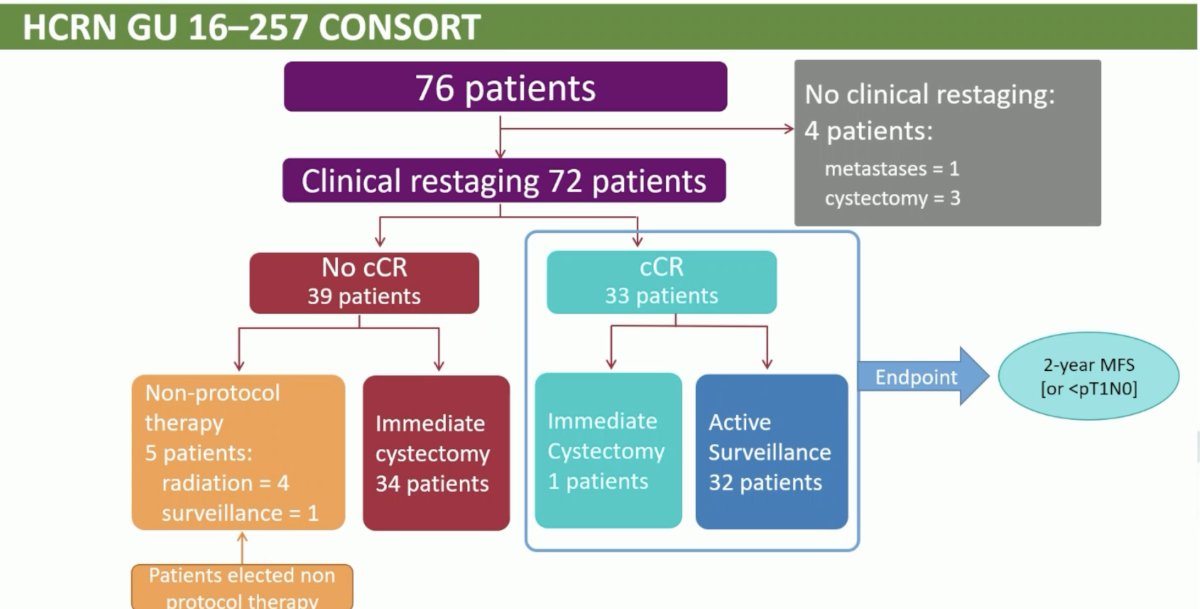 ESMO 2023 Plimack_systemic therapy in bladder preservation_6