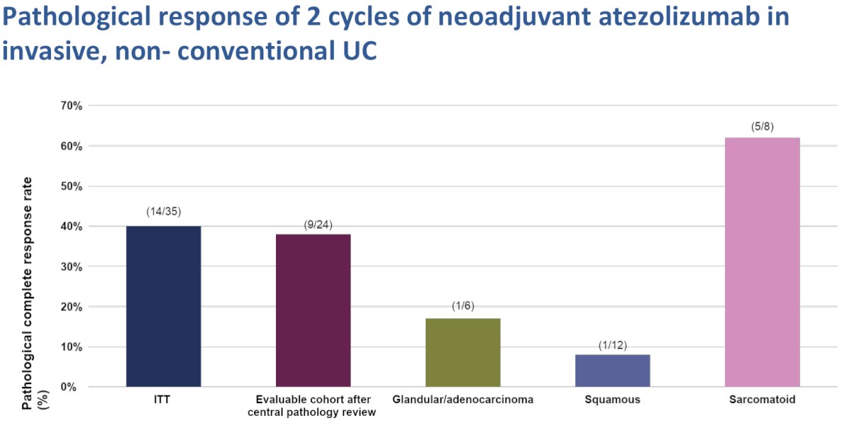 response to 2 cycles of atezolizumab