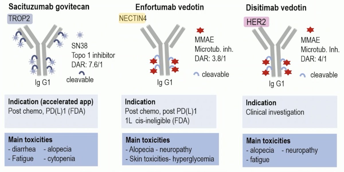 ESMO 2023 Loriot FGFR-directed therapies_1