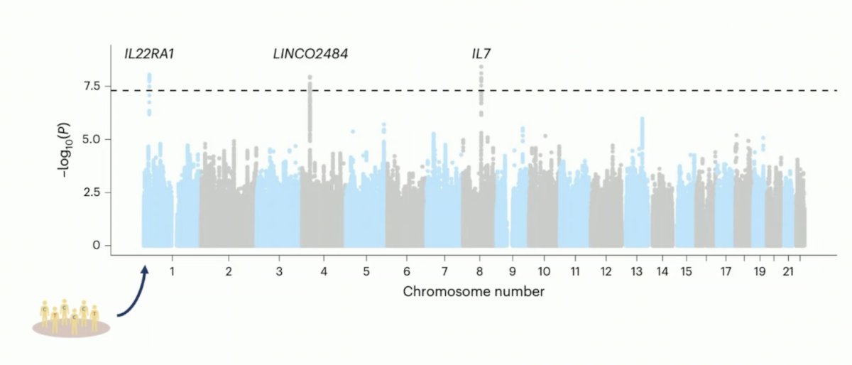 chromosome numbers