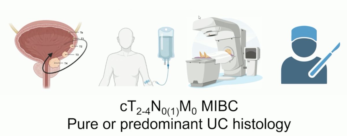 MIBC UC histology