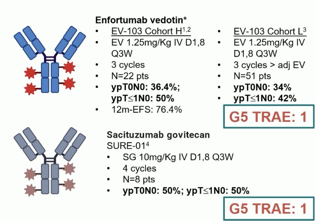 enfortumab vedotin in EV-103 and sacituzumab govitecan in SURE-01