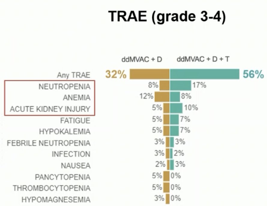 NEMIO trae