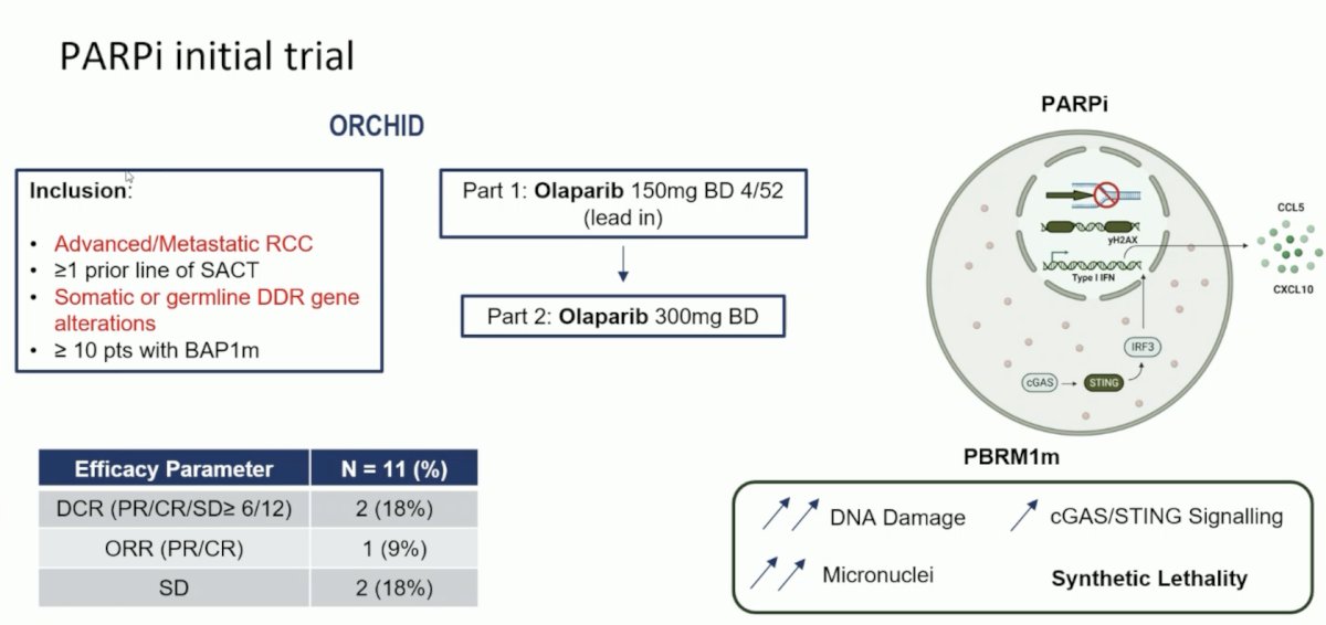 ORCHID trial